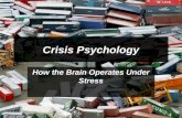 Crisis Communications and Cogntive Behavior