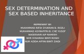 Sex Determnation and sex based inheritance(Genetic)