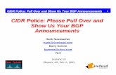 Cidr police  please pull over and  show us your bgp  announcements