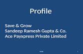 Profile-Sandeep Ramesh Gupta and Acepayxpress
