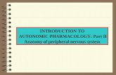 INTRODUCTION TO AUTONOMIC PHARMACOLOGY Part II - Anatomy of