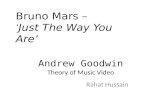 Andrew goodwin theory on bruno mars