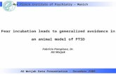 Fear incubation leads to generalized avoidance in an animal model of PTSD