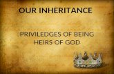 Our Godly inheritance