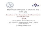 Dirofilaria  ghid de diagnostic 3