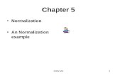 Lecture8 Normalization Aggarwal