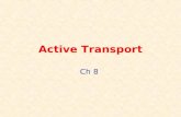 Active  Transport
