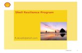 Workshop Shell health: Veerkracht ontwikkelen door positieve psychologie door Rijkwessel de Valk en Drs. Johan Vaartjes