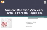 Younes Sina's presentation on  Nuclear reaction analysis