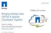 Bringing NetApp Data ONTAP & Apache CloudStack Together