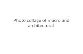 Photo collage of macro and architectural