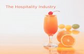 The hospitality industry1
