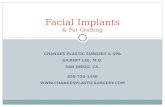 Before and After Photos of Facial Implants and Fat Grafting at Changes Plastic Surgery