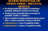 Action potential part 1