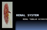 renal tubular acidosis (RTA)