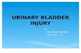 Bladder injury  by dhanush
