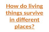 How do living things survive in different places