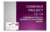 Comenius   project