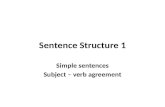Sentence structure presentation