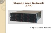 Storage Area Network(SAN)