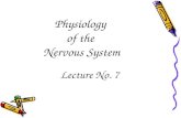 Lecture 7 physiology of the nervous system