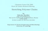mrm Chamonix-stretching chains-(2009)