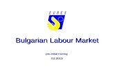 Bulgarian Labour Market