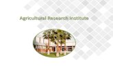 Agricultural Research Institute - Zygi experimental station