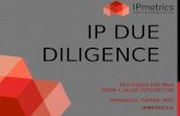 Ip due diligence
