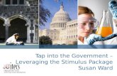 Tap into Government- Leveraging the Stimulus Package