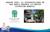 Banyan Tree Hotel and Resort