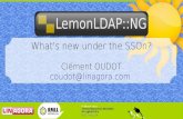 RMLL 2014 - LemonLDAP::NG - What's new under the SSOn