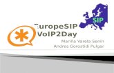 Voip2Day 2008 - Asterisk en Entornos Corporativos