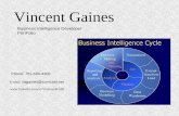 Business Intelligence Dev. Portfolio