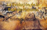 Evolución Humana - Género Homo