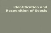 Identification and recognition of sepsis