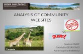 Analysis Of Community Websites