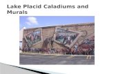 Lake Placid Caladiums And Murals