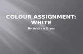 Colour Assignment: White