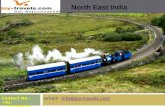 North east tour India Travel guide, holiday packages
