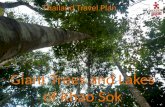 Thailand Travel Plan | Experience Khao Sok National Park