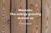 Biomass presentation by Mr. Hauber 2013