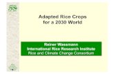 Wassmann - Adapted rice crops for a 2030 world