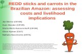 REDD sticks and carrots in the Brazilian Amazon: assessing costs and livelihood implications