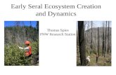 Early Seral Ecosystem Creation And Dynamics