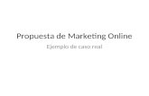 Caso practico propuesta marketing online