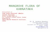 Mangrove flora of karnataka