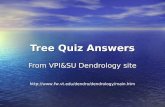 Tree quiz answers