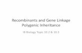 Recombination and gene linkage