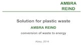 Ambra Reind Waste to Energy